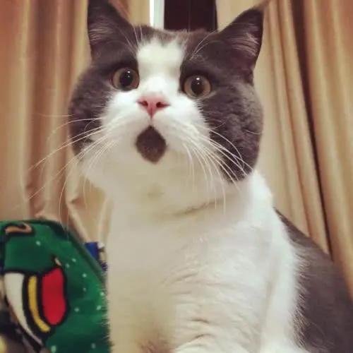 VCE高数SM | 听说,今年这些题必考?