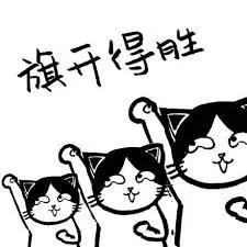 VCE中文第一语言|未来准备提前考中文,你了解考什么吗?