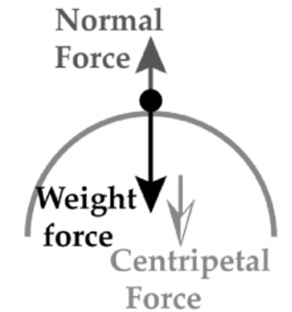 VCE物理|一起“动”起来 - Motion全解析