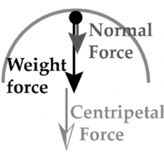 VCE物理|一起“动”起来 - Motion全解析